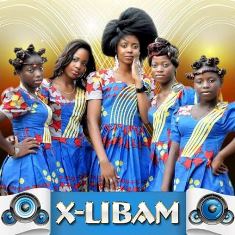 X-LIBAM