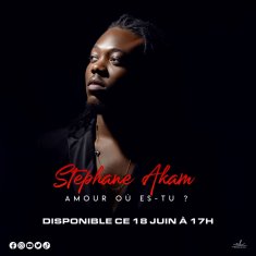 STEPHANE AKAM
