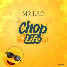 MR LEO
