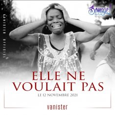 Vanister