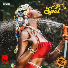 RENISS