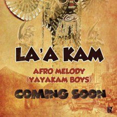 AFRO MELODY