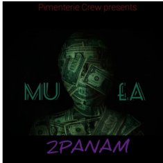 2PANAM
