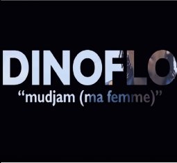 DINO FLO