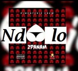 2PANAM