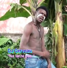 DJ CERVEAU