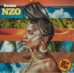 RENISS