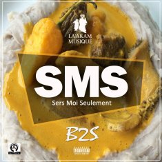 B2S