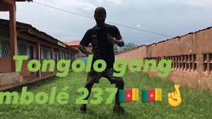 TONGOLO GANG