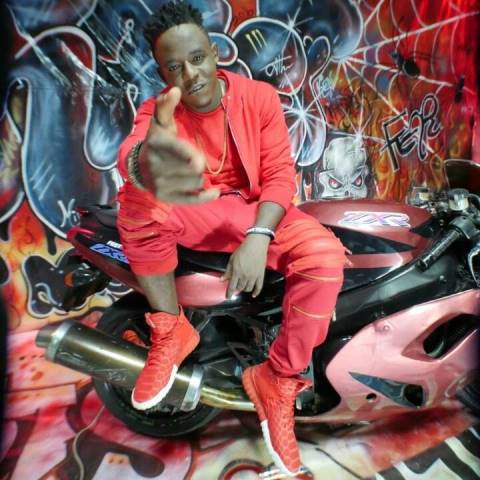 MIC MONSTA