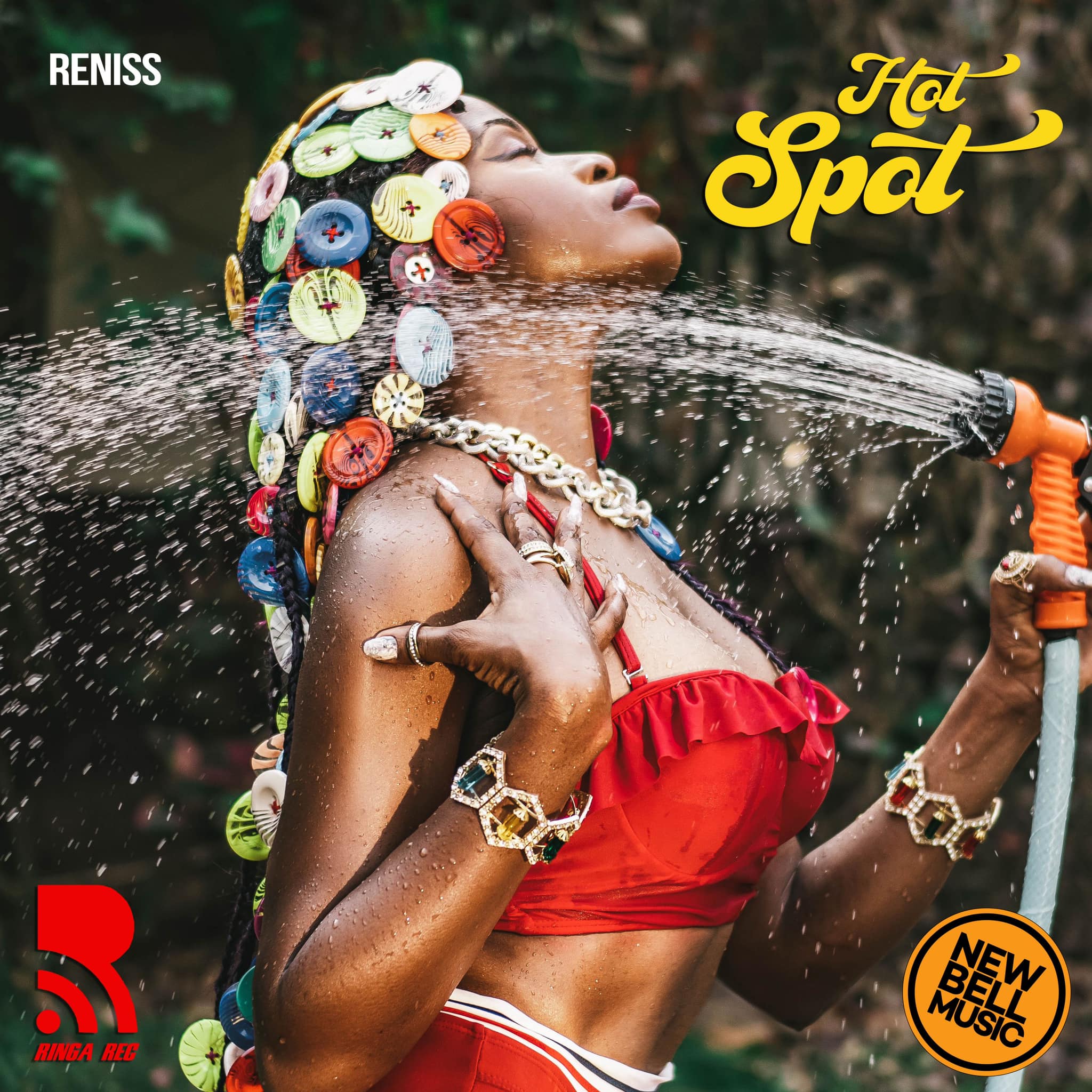 RENISS