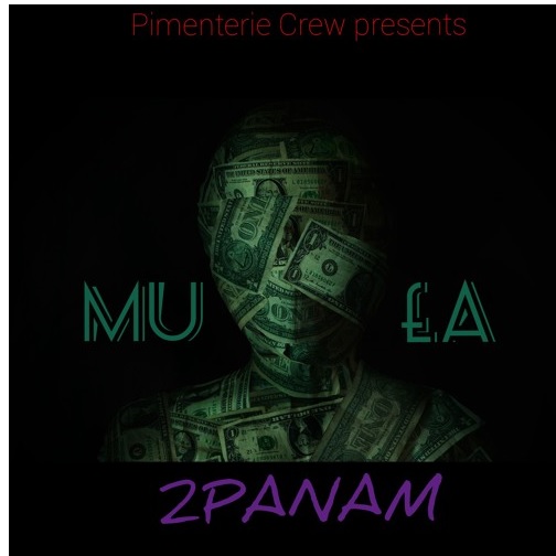 2PANAM