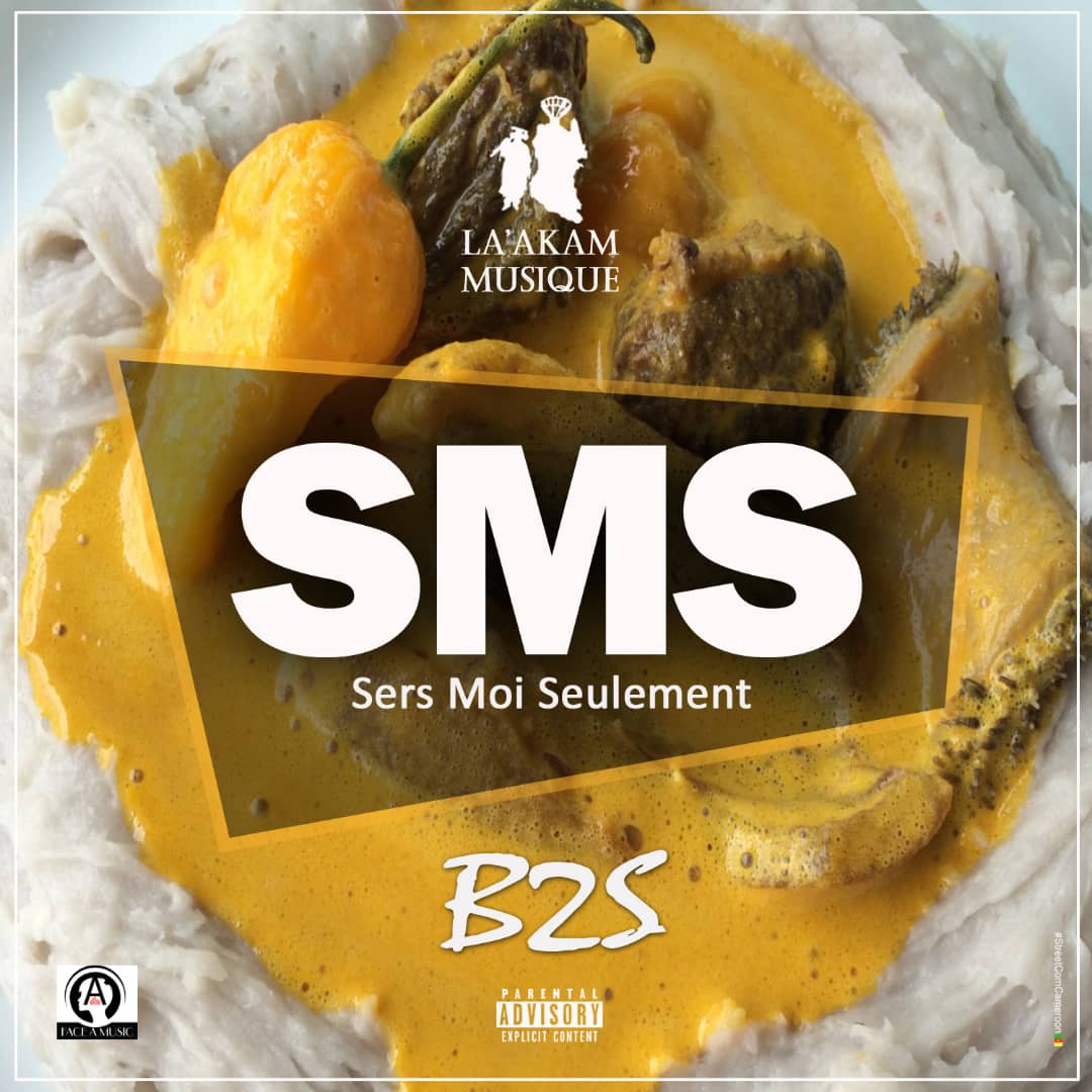 B2S