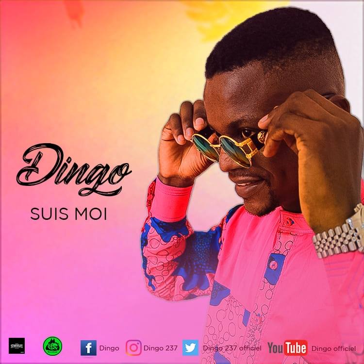 DINGO PREMIER